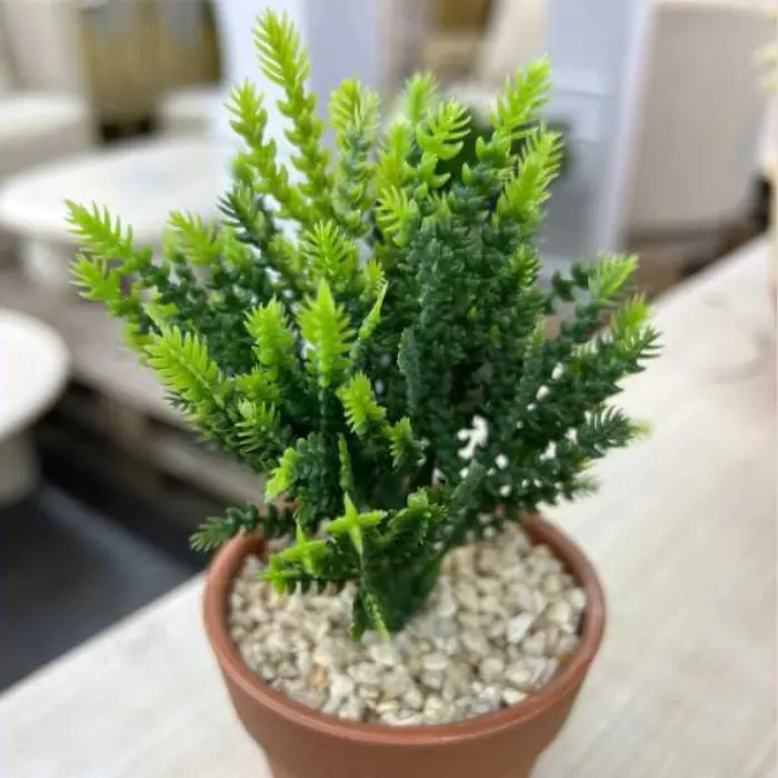 Plante plastique thin