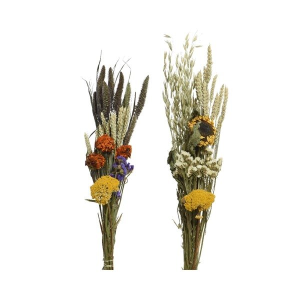 Bouquet fleurs séchées d12-h60 cm