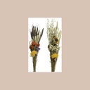 Bouquet fleurs séchées d12-h60 cm