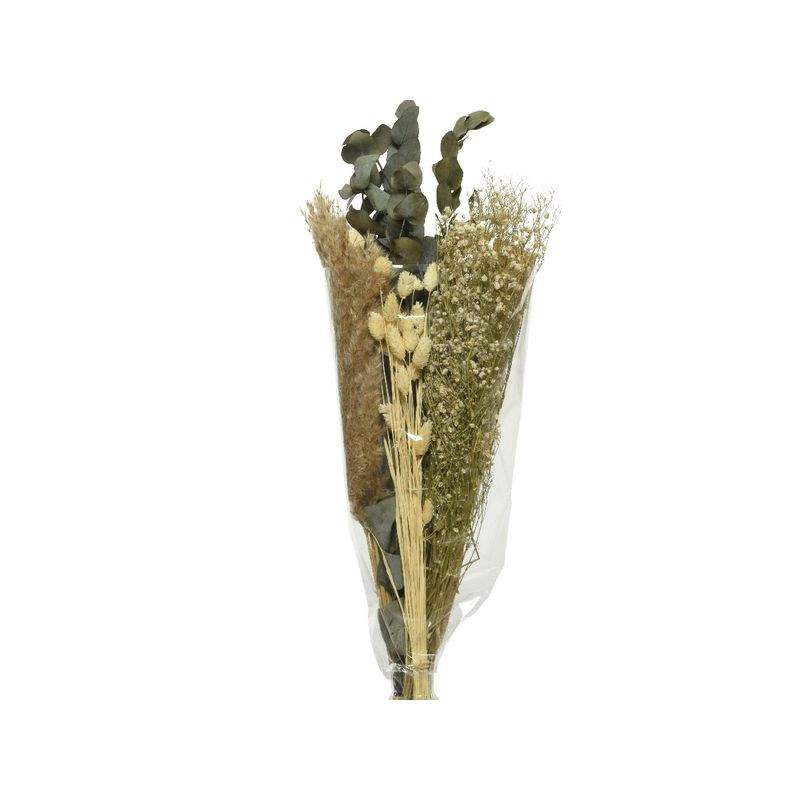 Bouquet sur tige fleur sechee