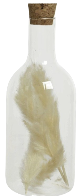 Bouteille verre pampa beige