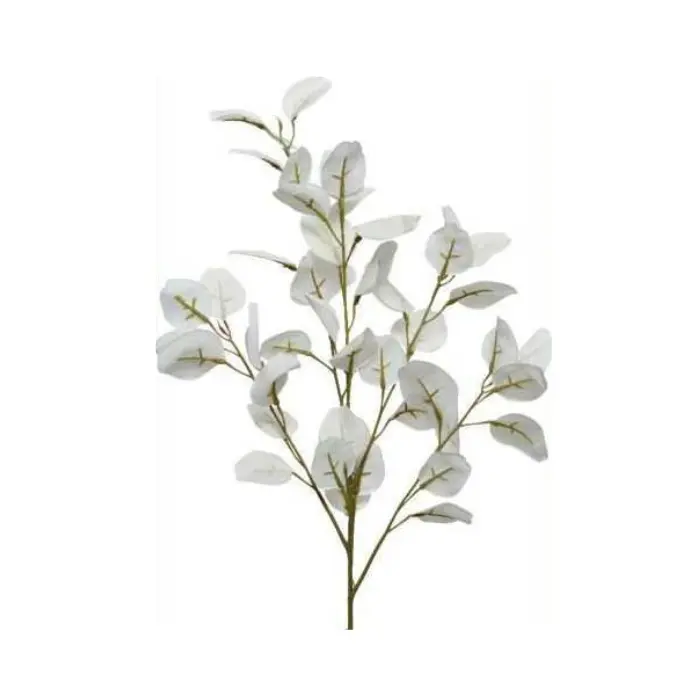 Eucalyptus polyester blanche