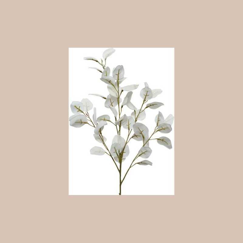 Eucalyptus polyester blanche