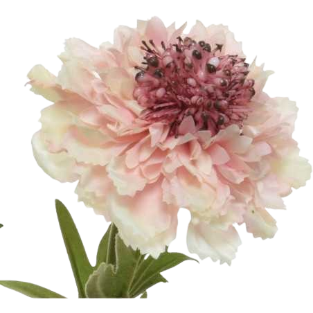 Fleur polyester