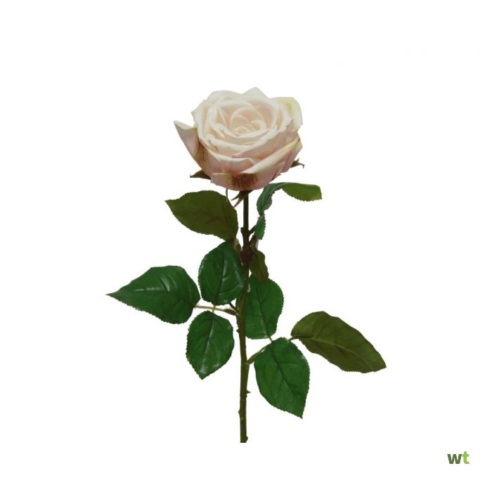 Rose polyester