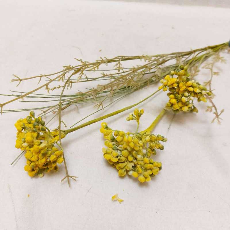 Tiges fleurs jaunes et vert