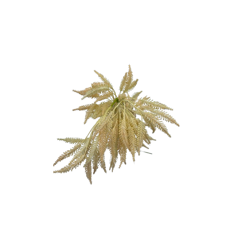 Fleur canne orangé sur tige plastique