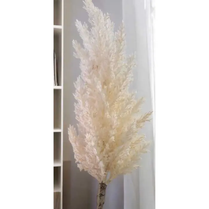 Herbe de la pampa plastique