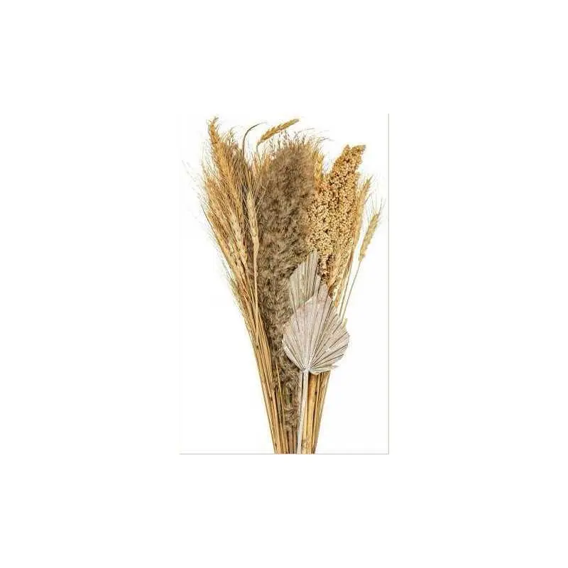 Bouquet fleur séchée couleur assortis