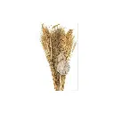 Bouquet fleur séchée couleur assortis