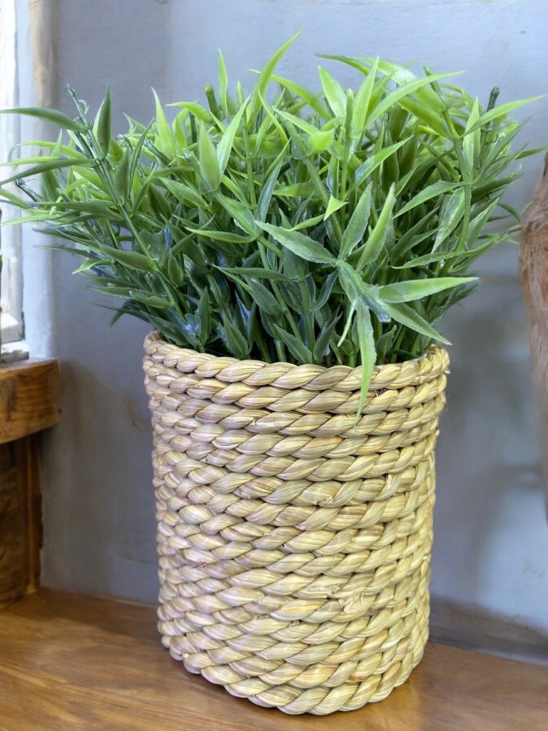 Plante polyester-b