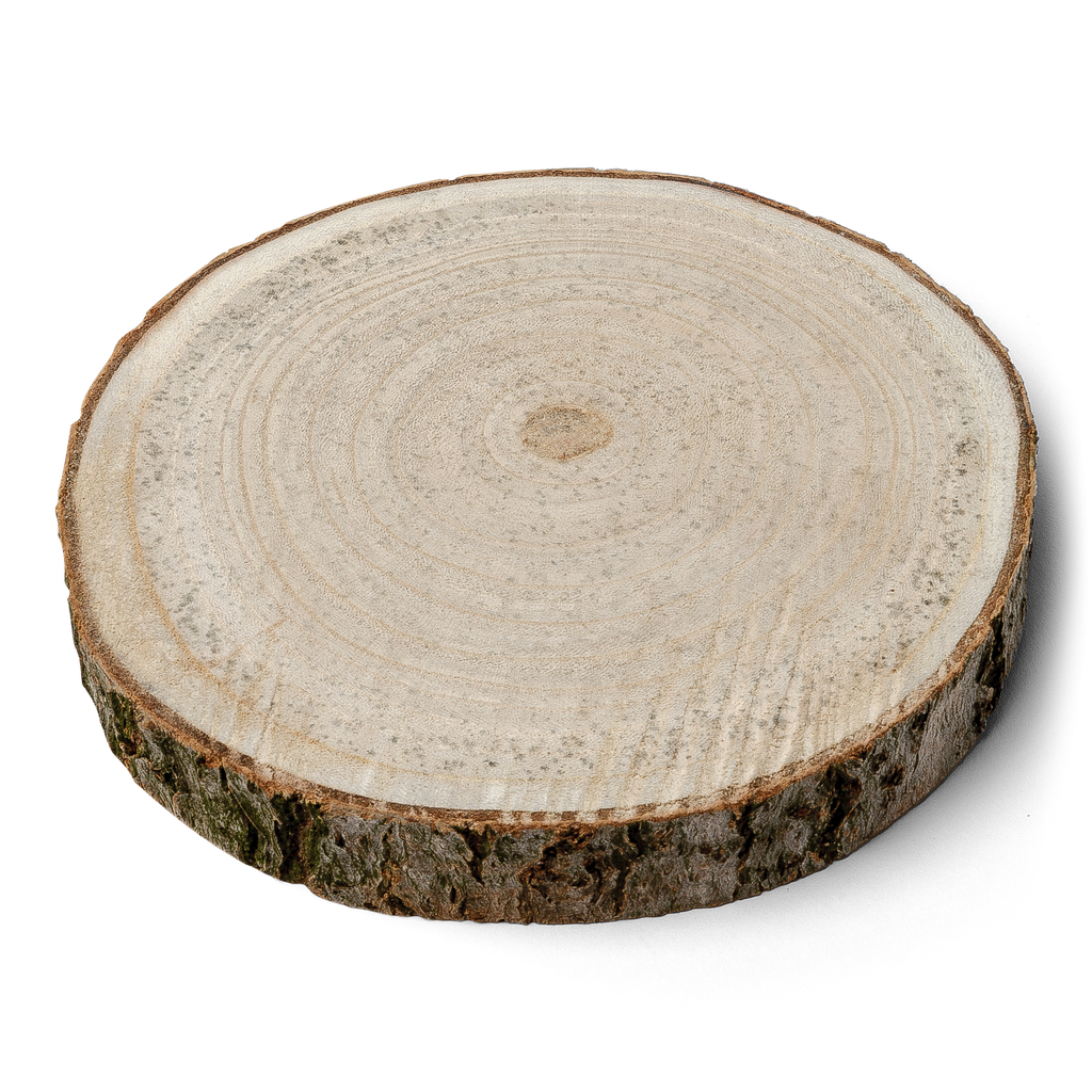 Rondin de bois environ 20 x 2cm