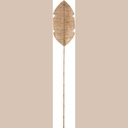 Feuille feuille bananier
