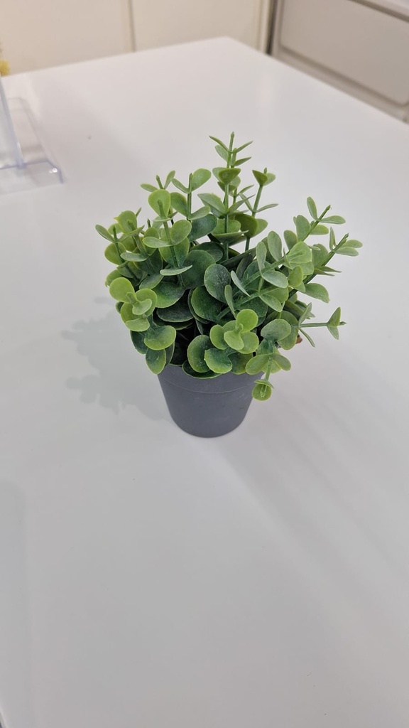 Pot fleur verte eucalyptus