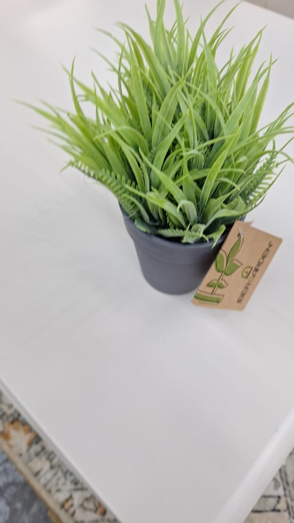 Pot fleur verte fougere