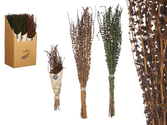 Bouquet branche longue  couleurs -vert