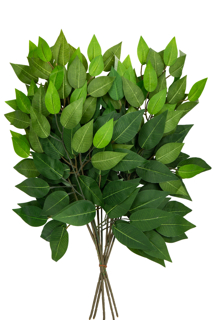 5 branches de ficus vert 40x30cm su r tige 15cm