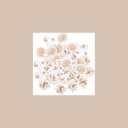 100 confettis coachella mood blancs , terracotta, blush et or de 2,5 à