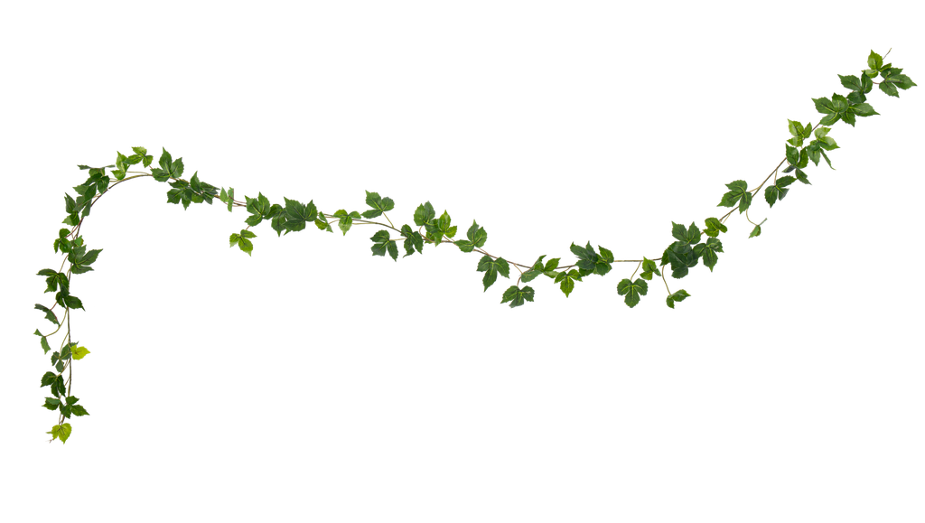 Guirlande de vigne vierge - verte - 2 m
