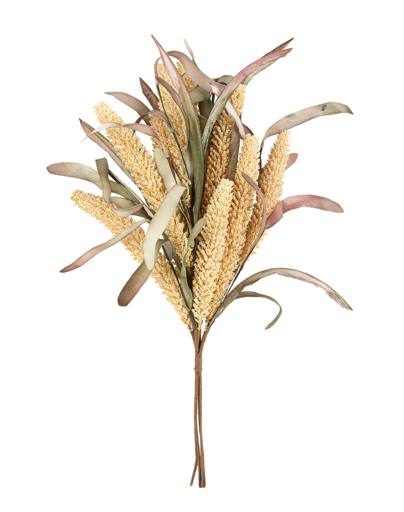 Bouquet d'epis de millet creme et feuilles 50cm