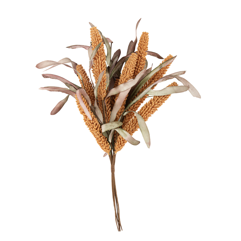 Bouquet d'epis de millet safran et feuilles 50cm