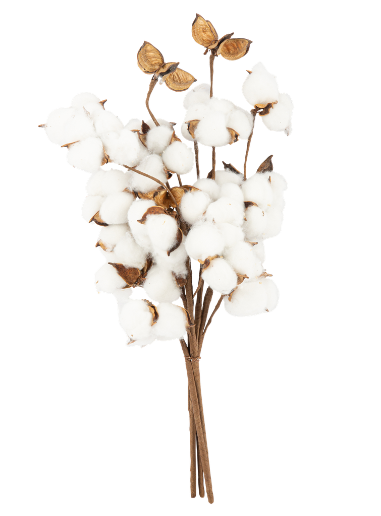 Bouquet de fleurs de coton 40cm