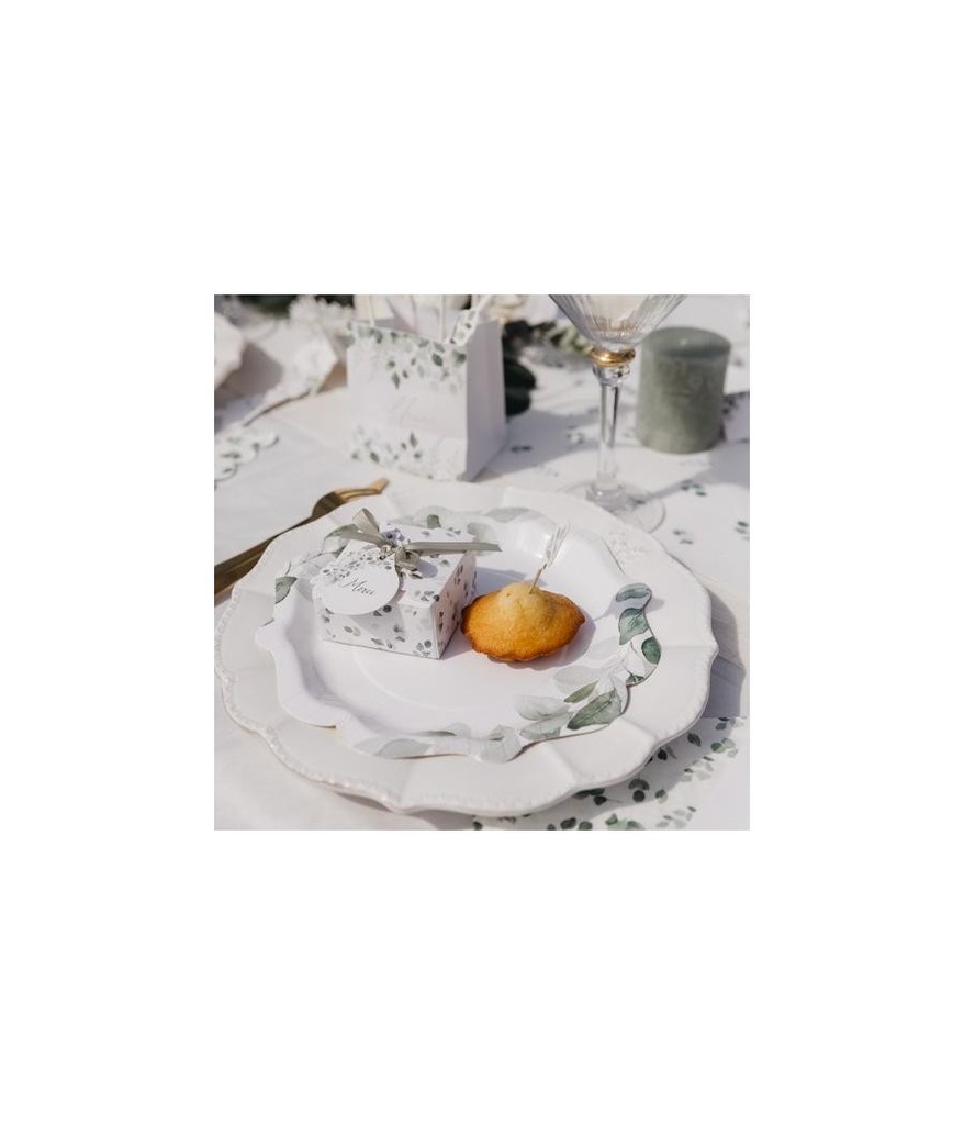 8 Assiettes Jardin Botanique Carton Papier Vert Sauge et Blanc Ø23cm