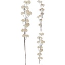 Branch with white flowers 65cm