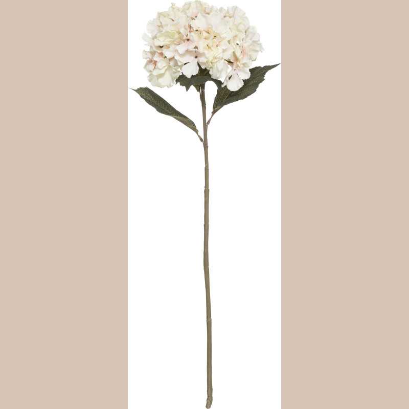 Tige hortensia rose h83