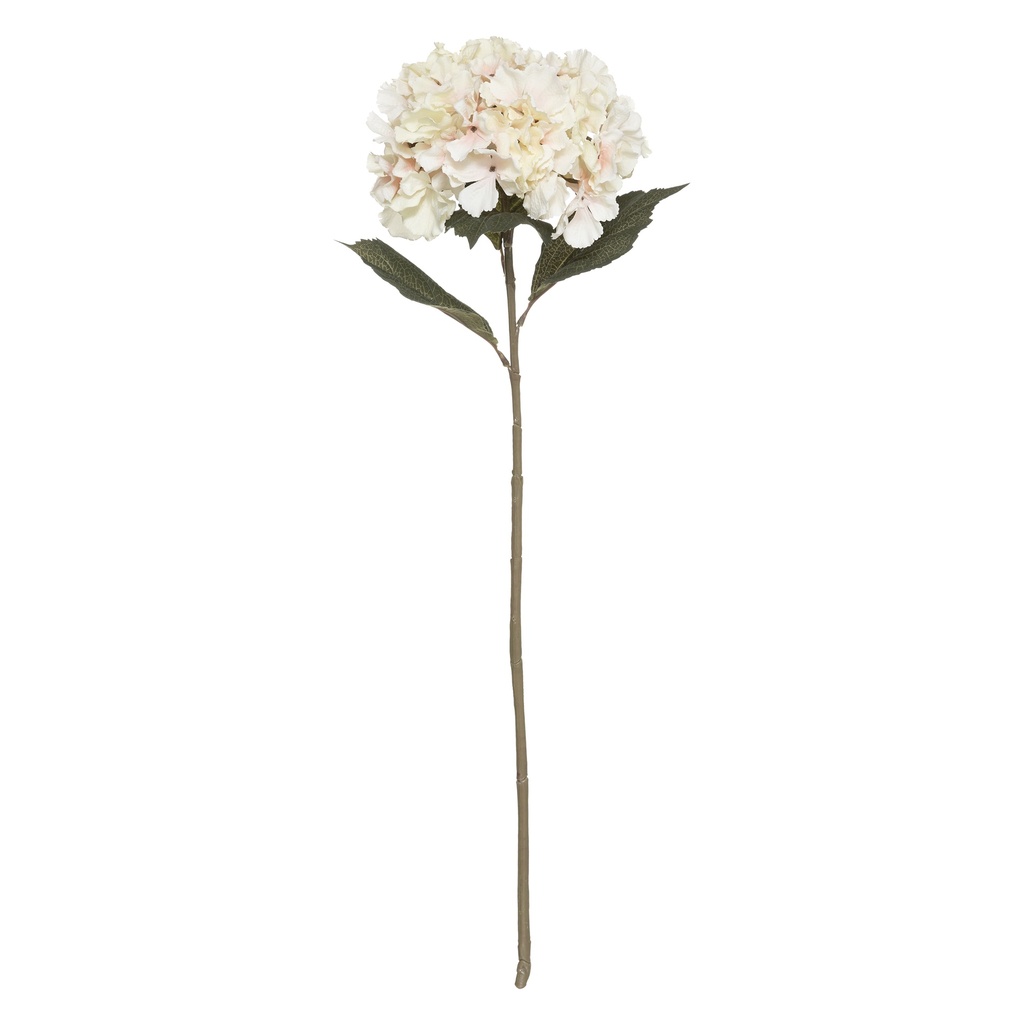 Tige hortensia rose h83