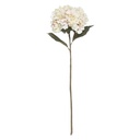 Tige hortensia rose h83