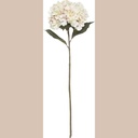Tige hortensia rose h83