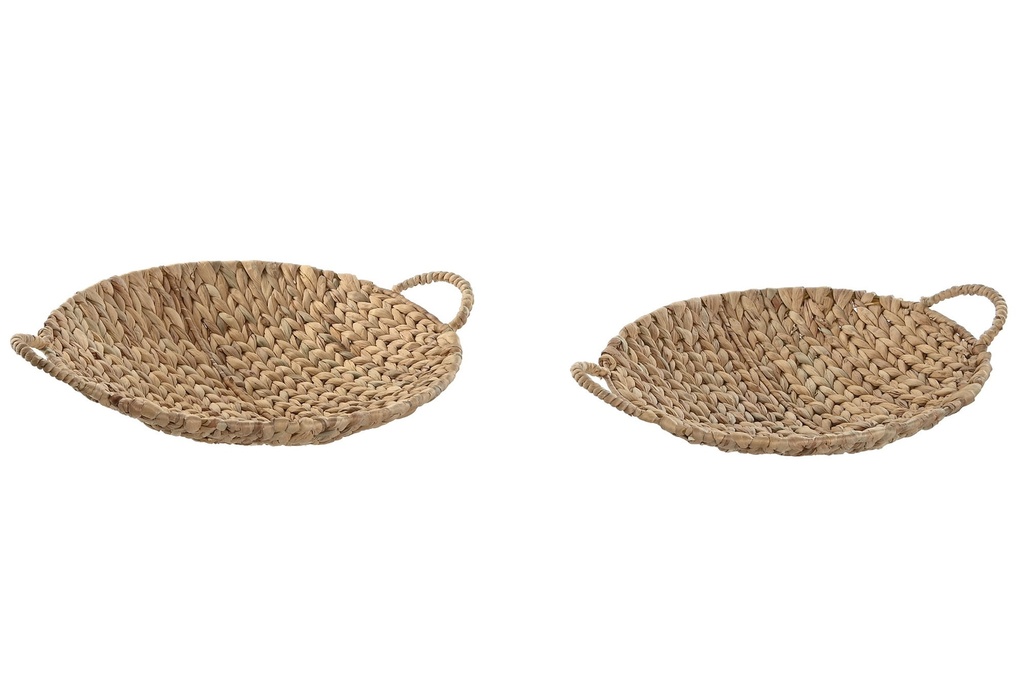 Centre de table hyacinthe d'eau 49x40x12 cm