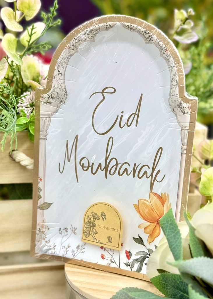 Assiette jaipur x10 mm (23x15cm)