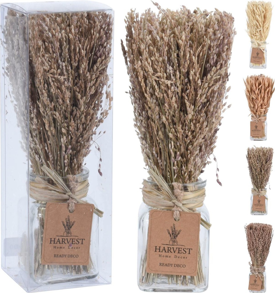 Herbe déco dans un pot en verre clr creme