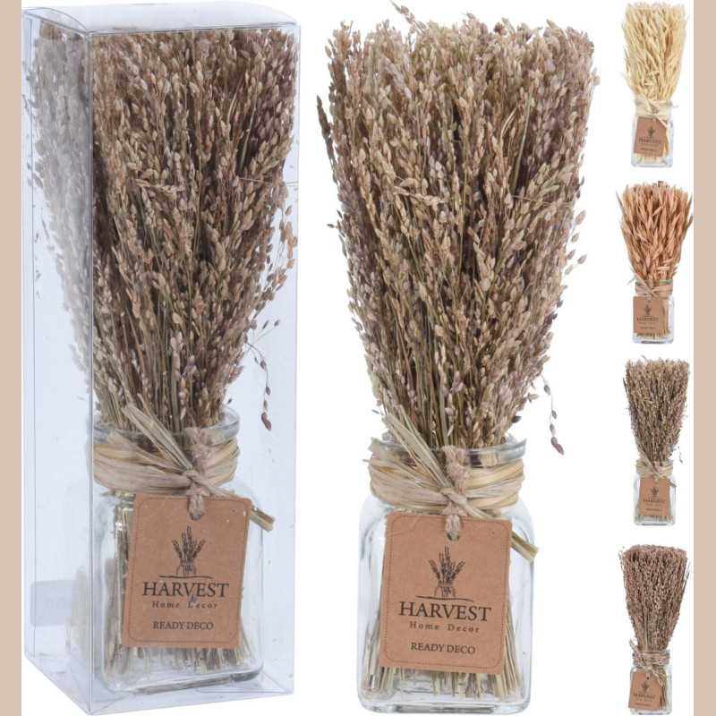 Herbe déco dans un pot en verre clr beige
