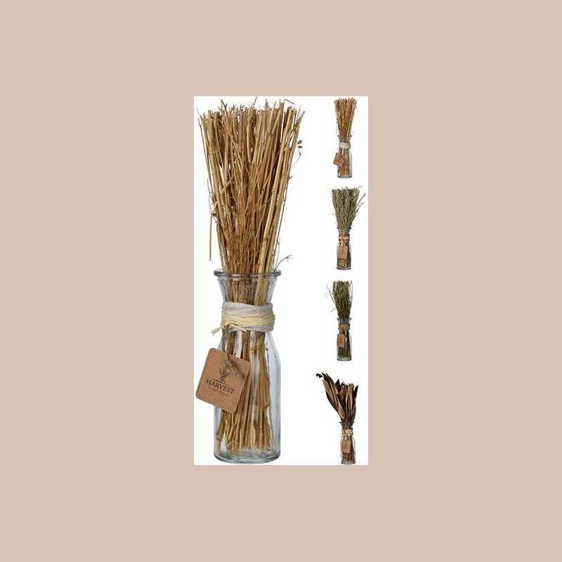 Cereale en verre - couleur beige