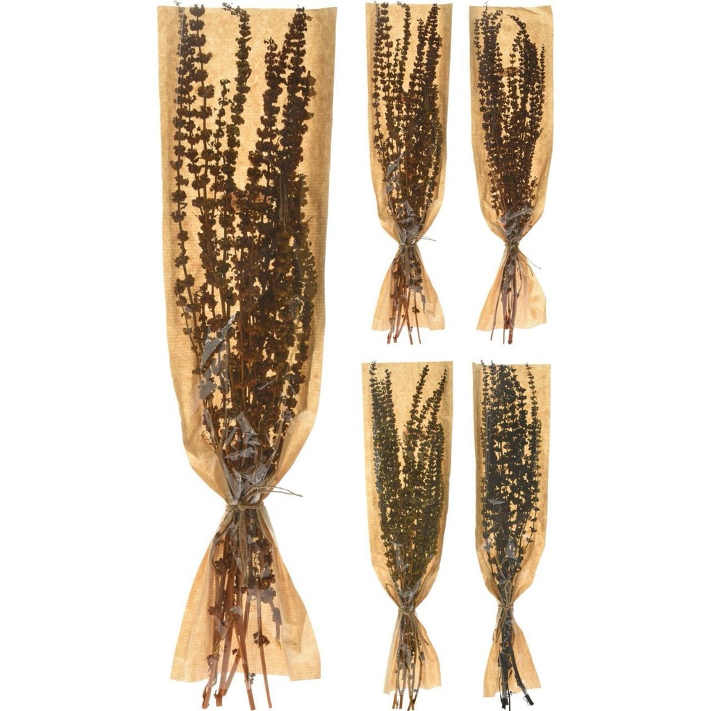 Branches natural dried -marron
