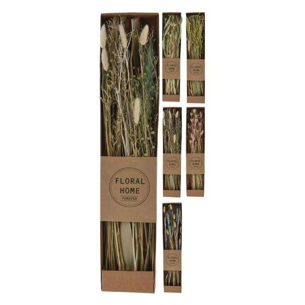 Branches natural dried-rose