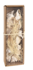Coquillages pour décoration blanc