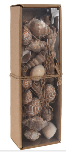 Coquillages pour décoration beige