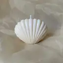 Bougie coquillage blanc