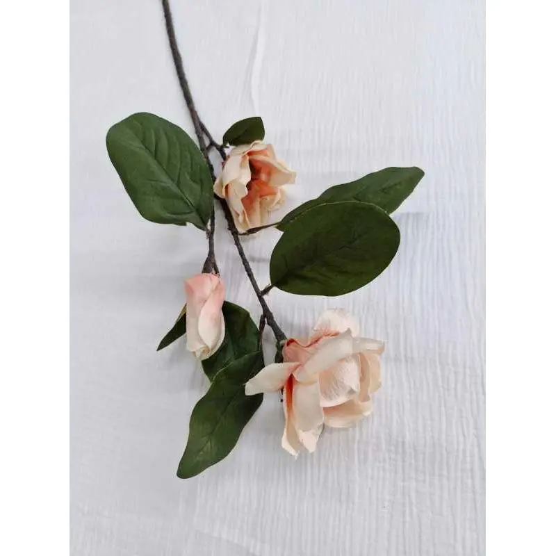 Tige magnolia