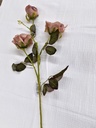 Tige rose pink/purple 