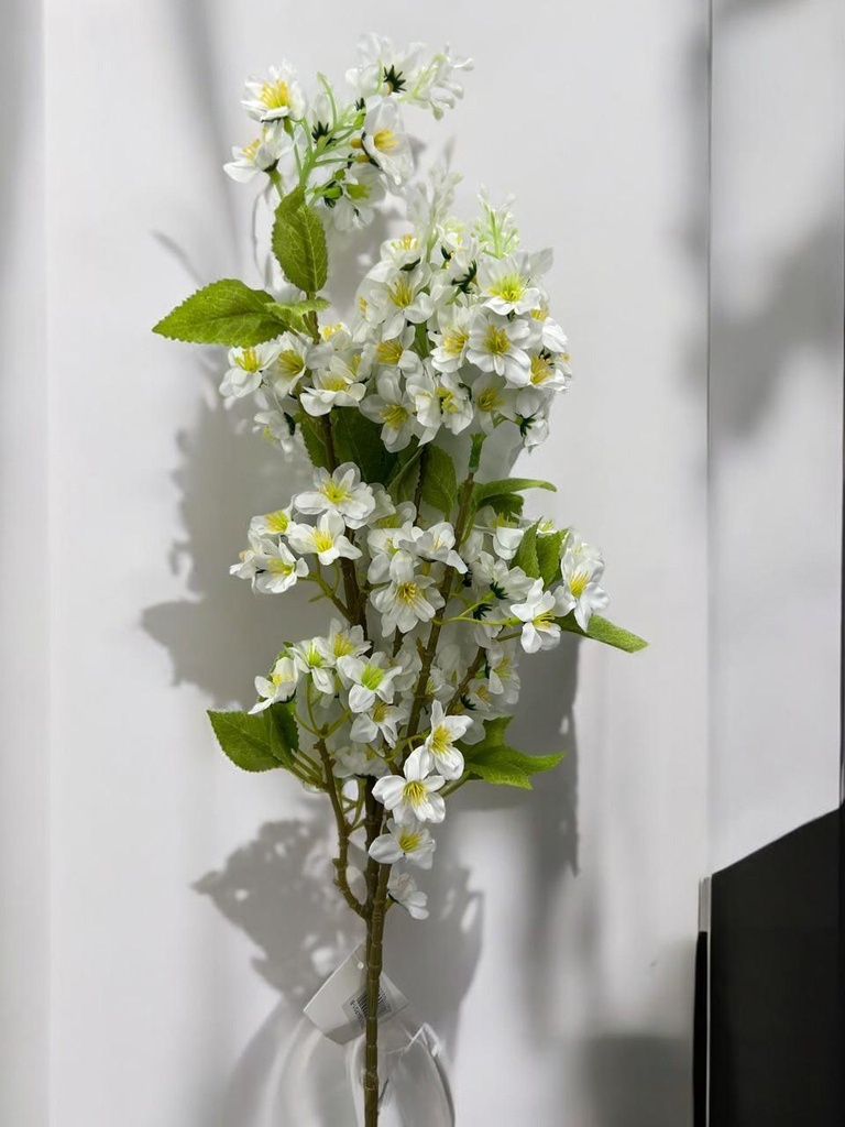 Tige cerisier blanc