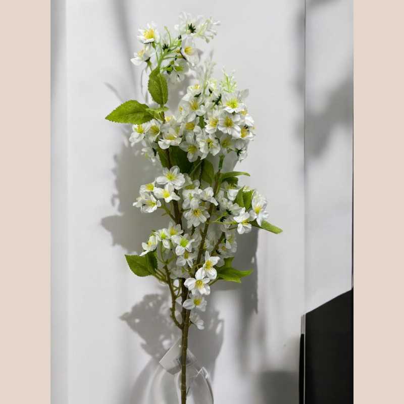 Tige cerisier blanc