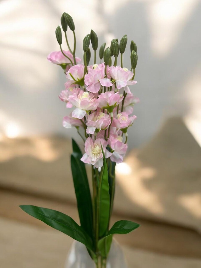 Tige freesia rose