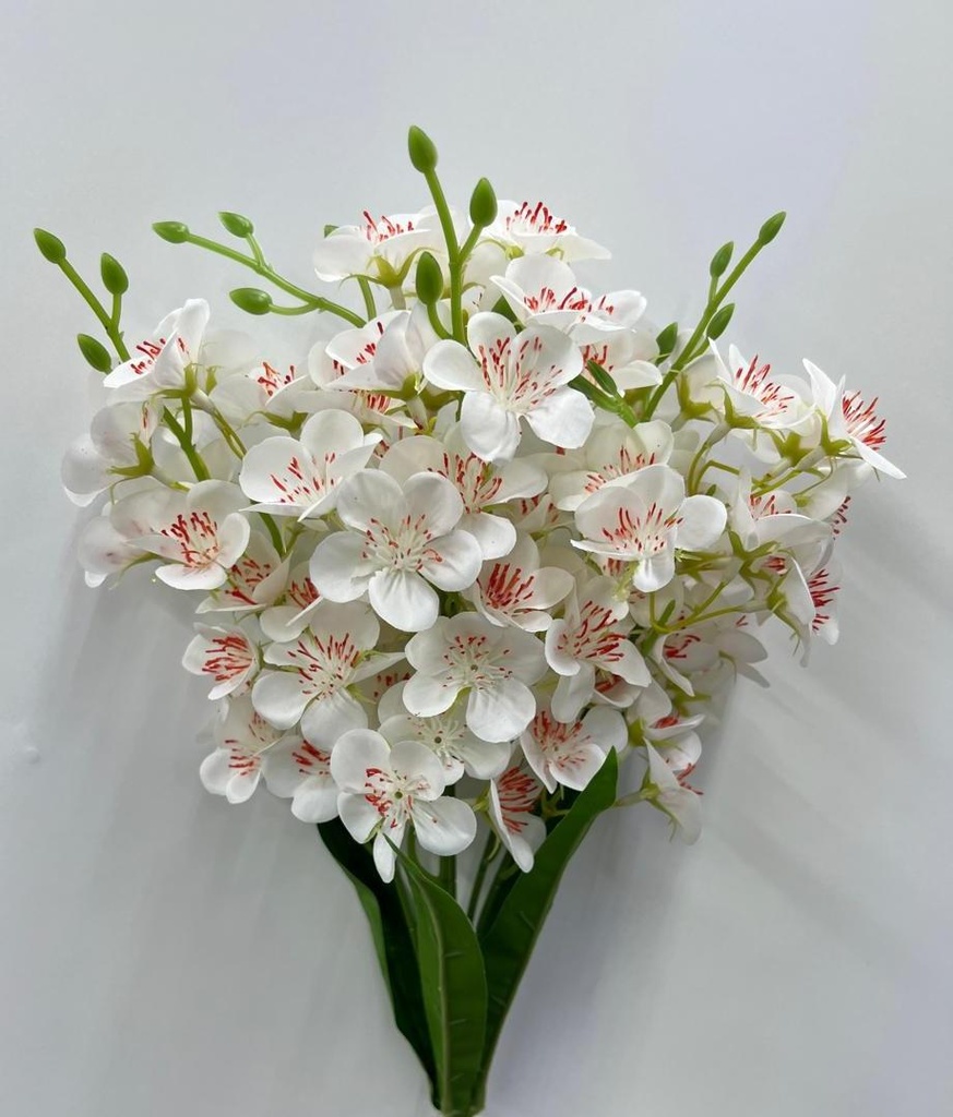 Bouquet alstromeria blanc