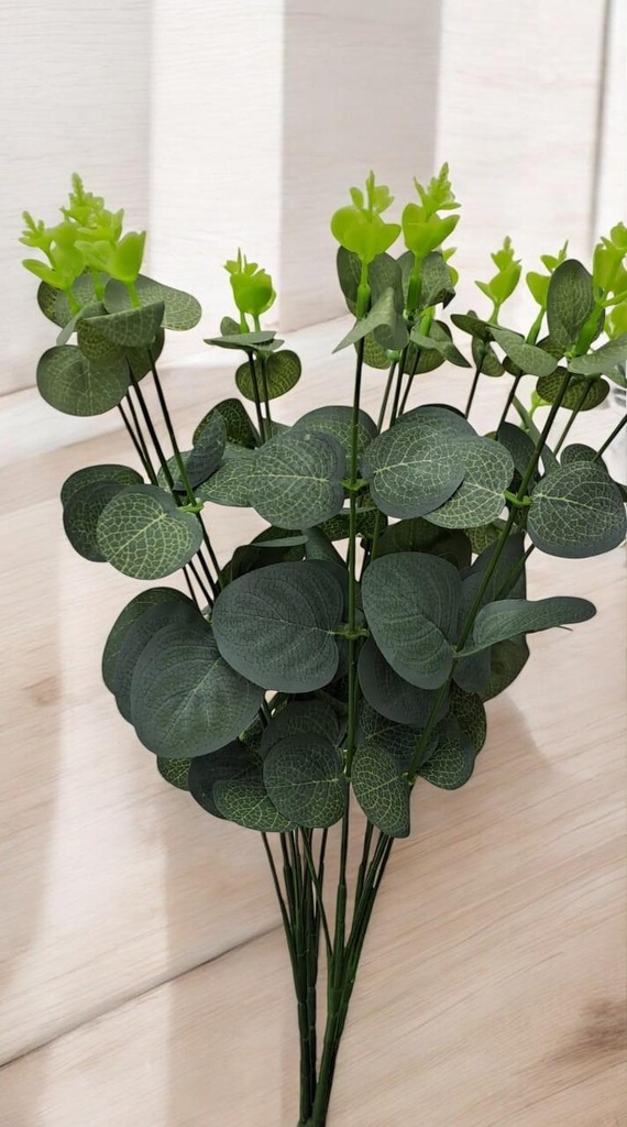 Tige eucalyptus