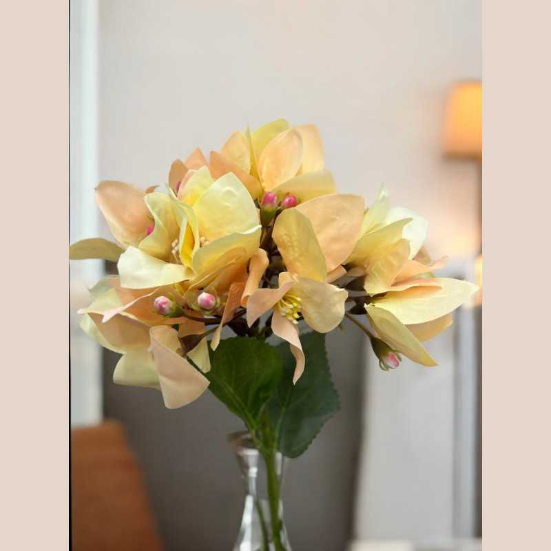Tige bougaivillier beige